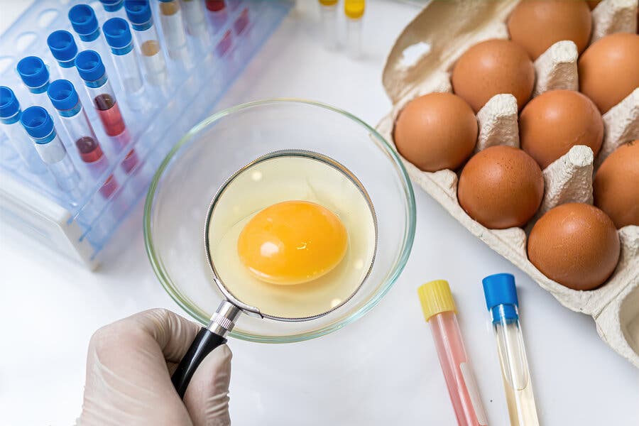 Prevención de la salmonelosis