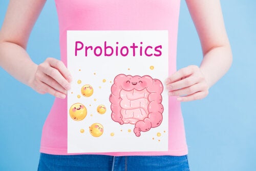 Dieta y microbioma: ¿puede restaurar la salud intestinal?