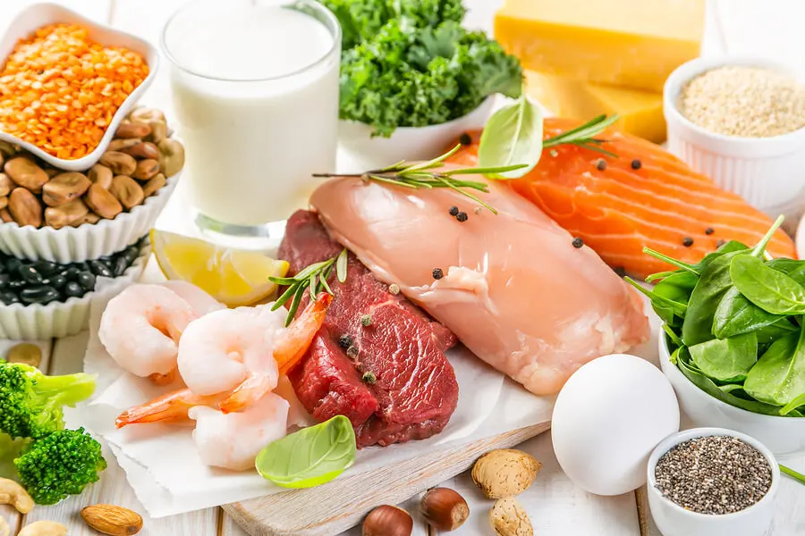 Alimentos con proteínas