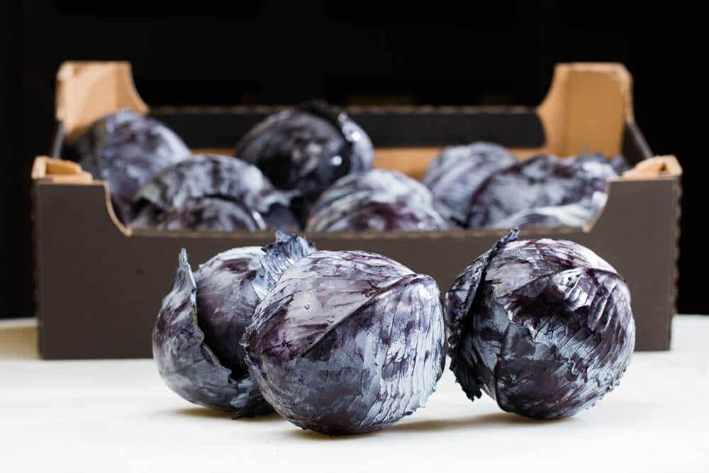 Cebolla negra: bondades nutricionales y beneficios para la salud