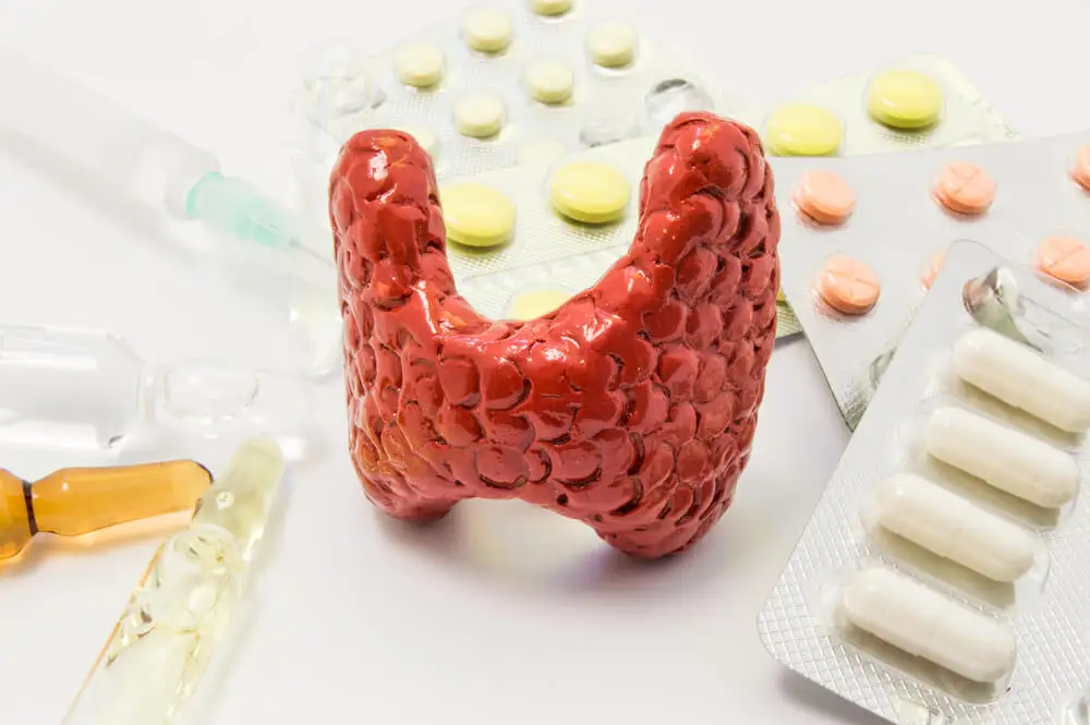 Medicamentos para la tiroides