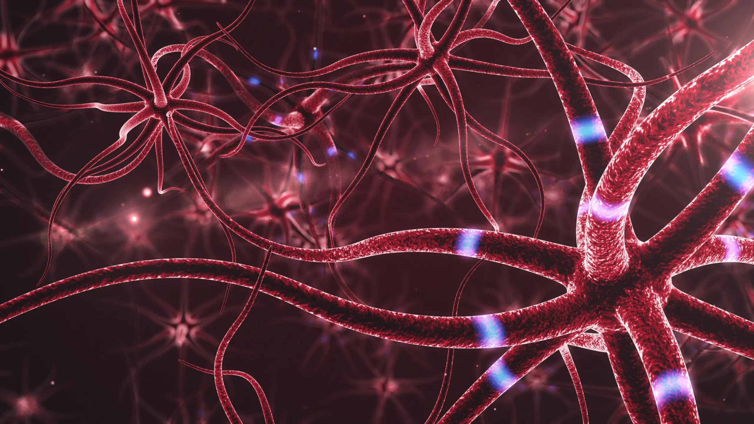 La respiración sobre el cerebro origina beneficios.