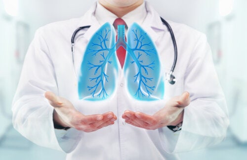 Efectos de la respiración sobre el cerebro