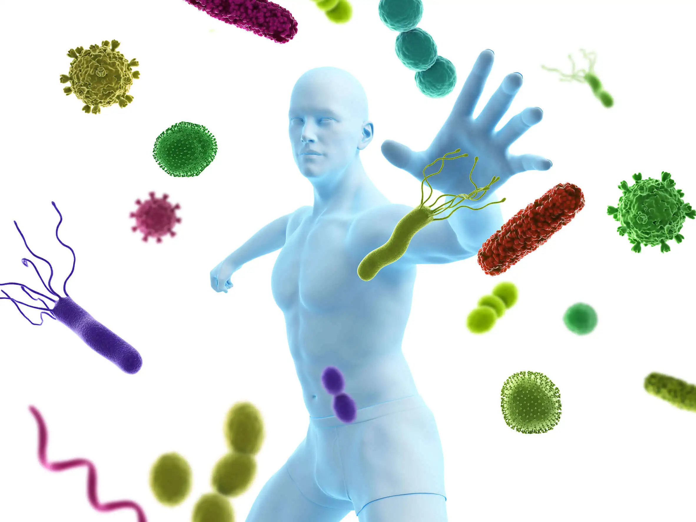 El sistema inmunitario luchando contra los síntomas de la gripe.