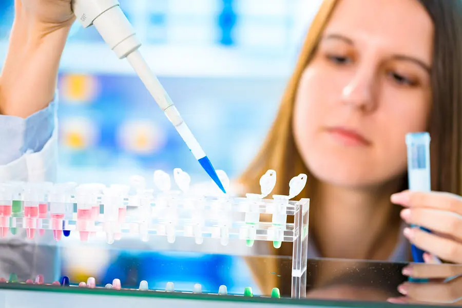 stem cell research