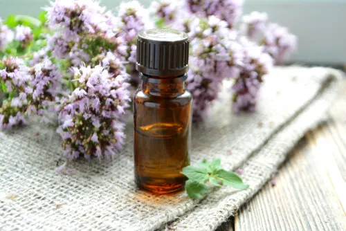 Aceites esenciales para las patologías invernales