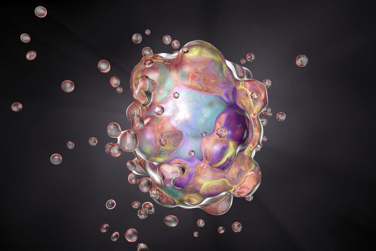 Diferencias entre la apoptosis y la necrosis