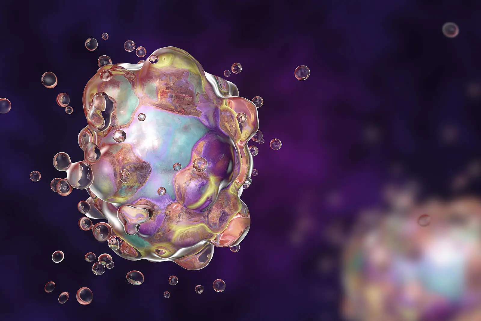 Apoptosis.