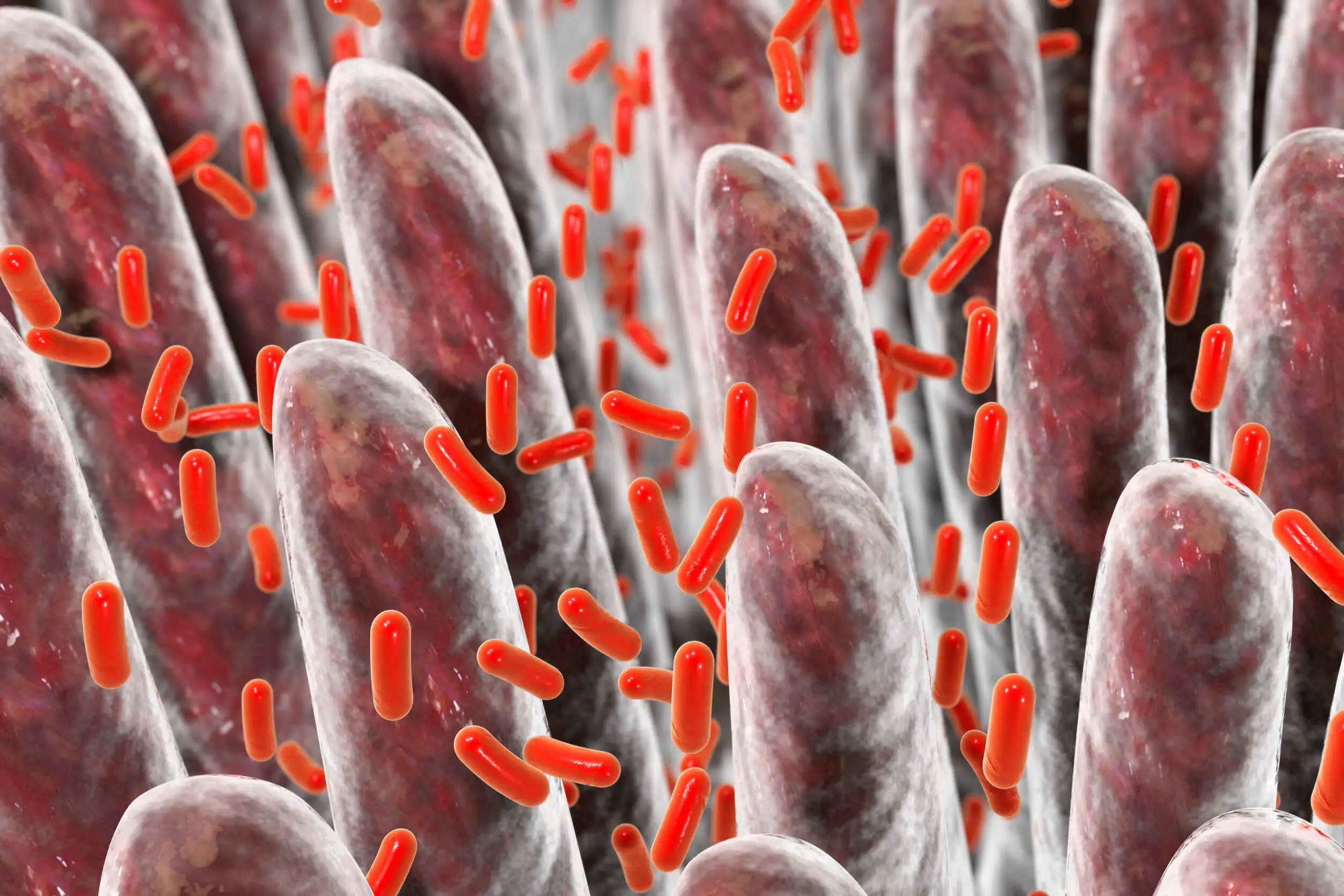 El intestino permeable es peligroso.