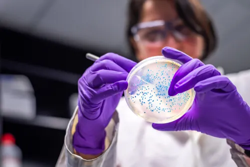 resistencia bacteriana