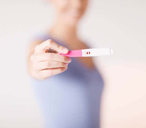 suplementos nutricionales en el embarazo y la preconcepción
