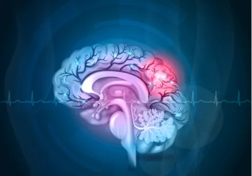 Funciones del cerebro