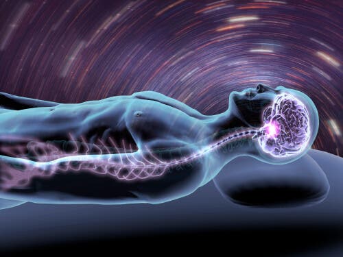 cerebro y sueño