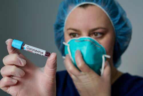 ¡Atención! OMS declara que hay riesgo de pandemia mundial de coronavirus