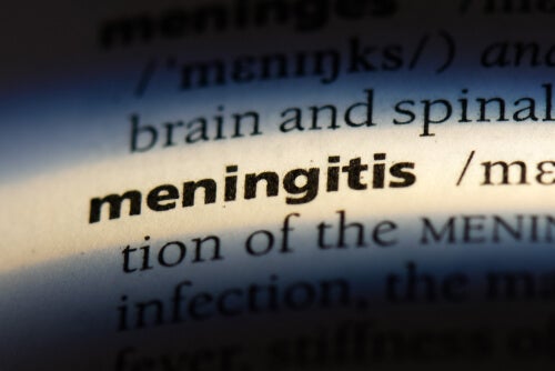 ¿Cuántos tipos de meningitis hay?
