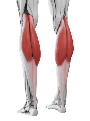 músculos gemelos