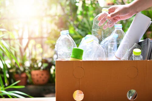 reciclar plásticos