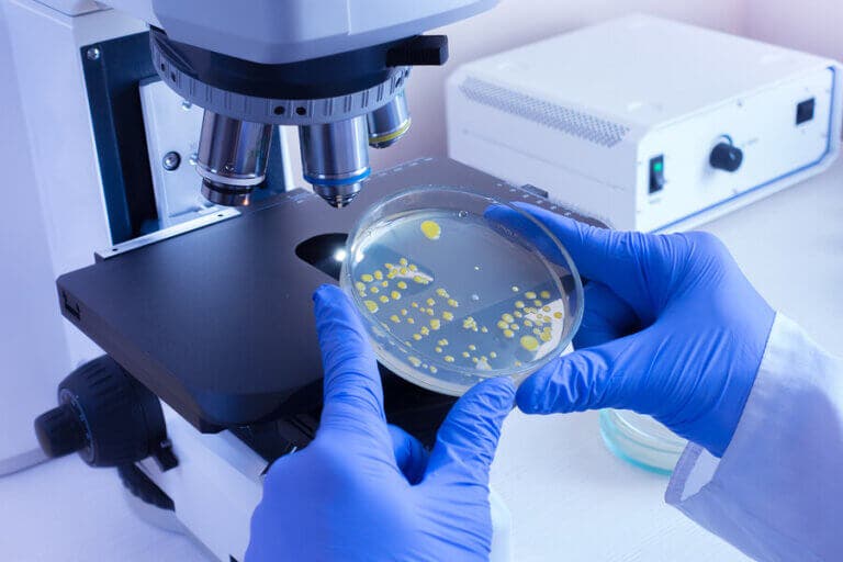 Las diferencias entre virus y bacterias