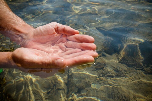 Día Mundial del Agua: cambio climático y salud