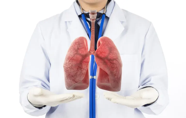 Las fases de la respiración
