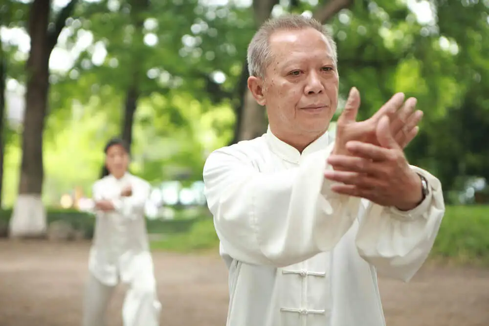 Maestro taichí.