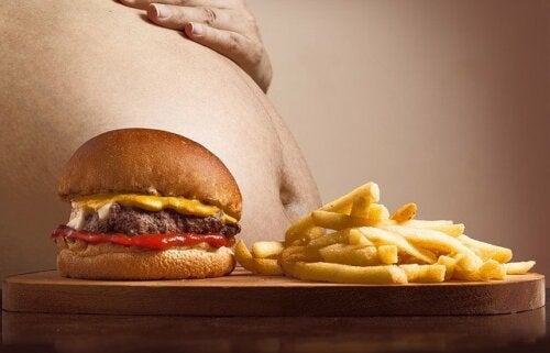 Complementos alimentarios en hiperlipidemia