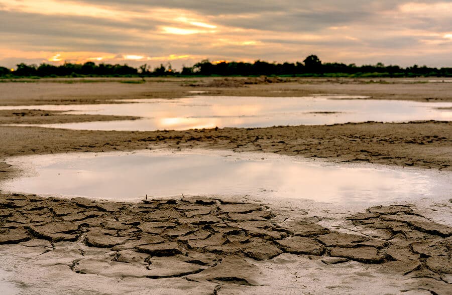 Opdrogend meer