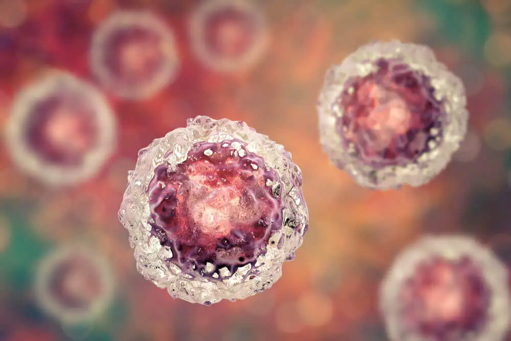 ¿Cómo nos afectan los virus y las bacterias?