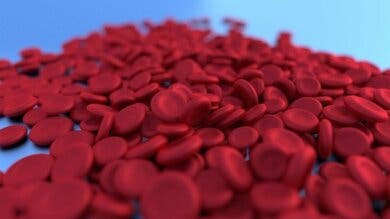 La anemia y la pérdida de peso