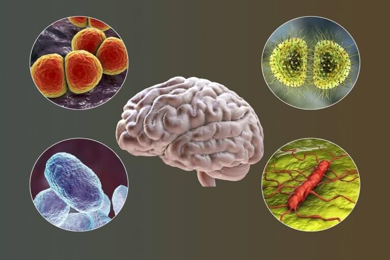 Día Mundial contra la Meningitis: una enfermedad que tiene vacuna