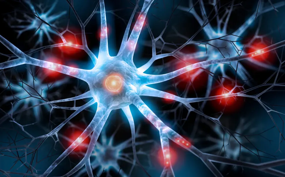 Dolor en el cerebro