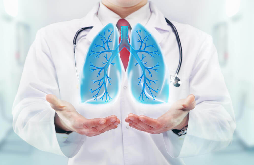 Médico sosteniendo pulmones.