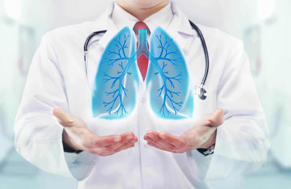Médico sosteniendo pulmones.