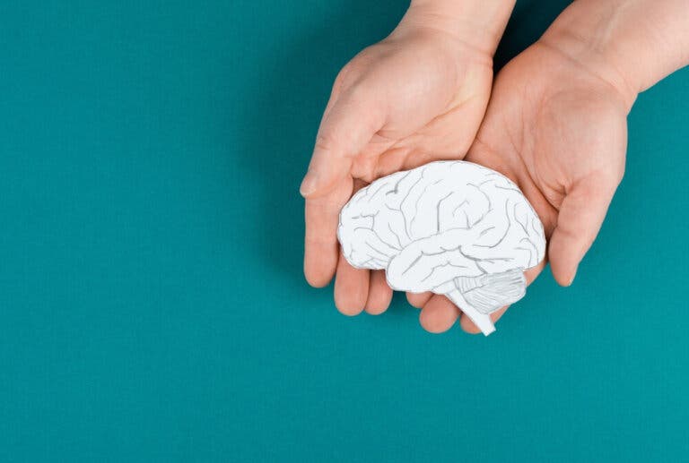 Técnica de la autopsia neuropatológica
