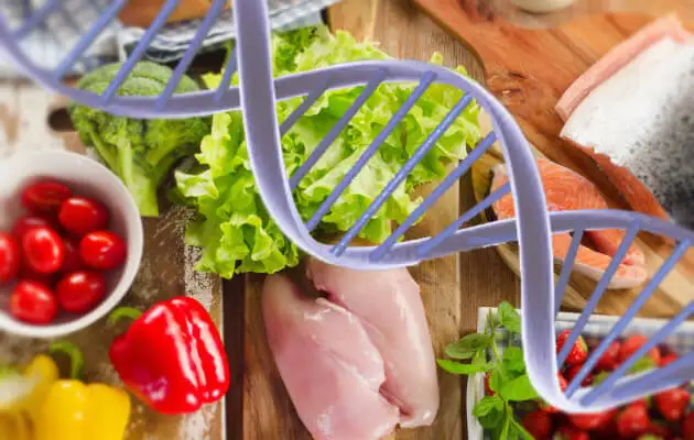alimentación y genes