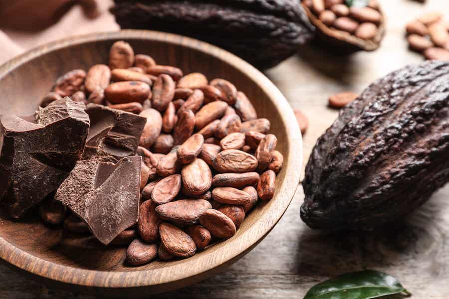 Vorteile von Kakao - Kakaobohnen und Schokolade