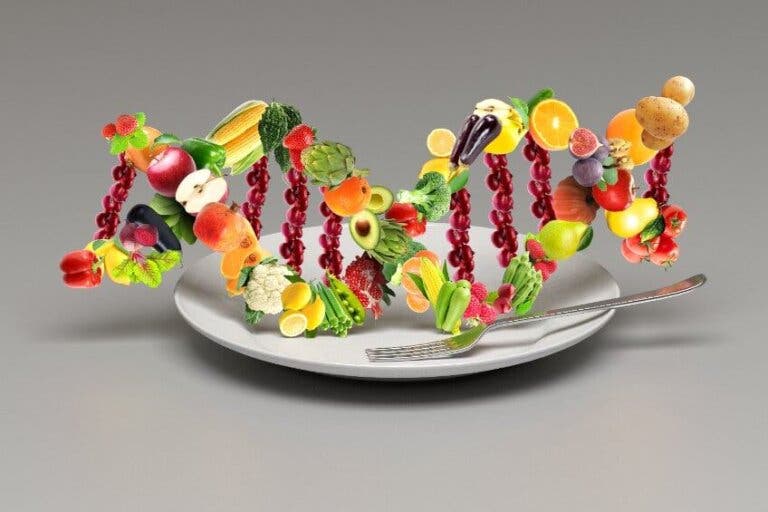 ¿Qué es la dieta del ADN?