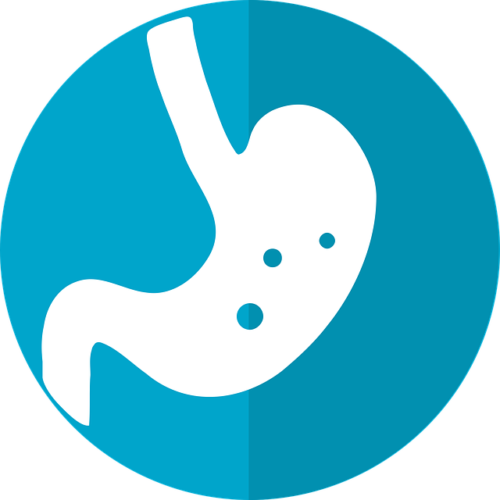 Día Mundial de la Salud Digestiva: cómo tener un buen microbioma