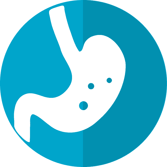 Día Mundial de la Salud Digestiva: cómo tener un buen microbioma