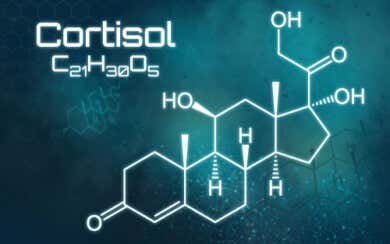 Exceso de cortisol: todo lo que debes saber