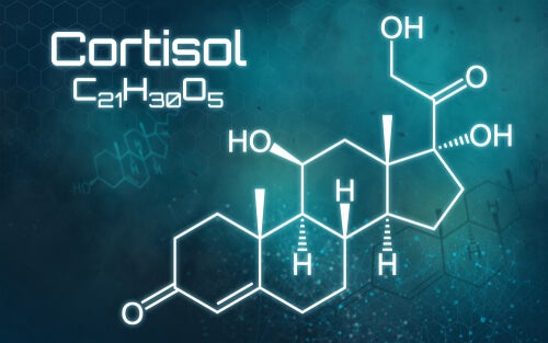 Exceso de cortisol: todo lo que debes saber