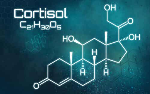 Exceso de cortisol: todo lo que debes saber