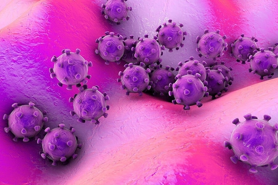 ¿Qué son los gérmenes y dónde se encuentran? - Mejor con Salud