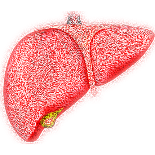 Día Mundial de la Hepatitis: todas son prevenibles