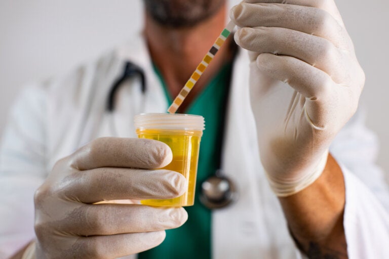 ¿Por qué es importante tratar una infección urinaria a tiempo?