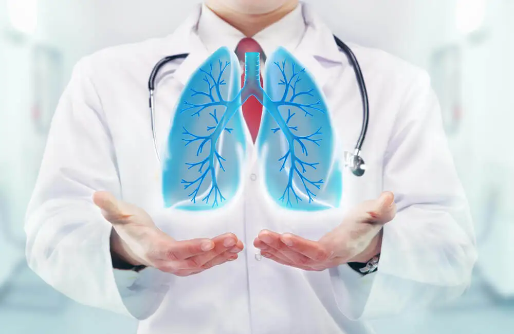 ¿Qué función tiene la respiración?