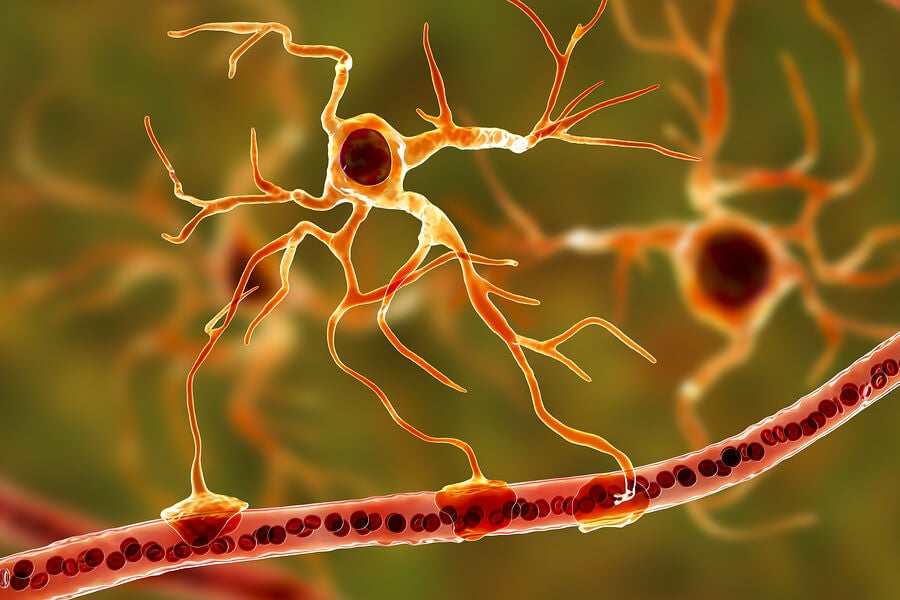 Neurony.