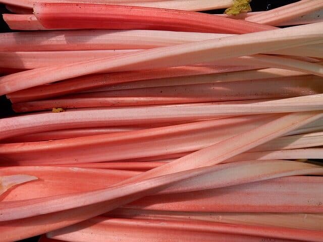 Beneficios y efectos secundarios del ruibarbo