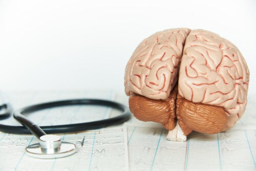 Así afecta la falta de descanso al cerebro