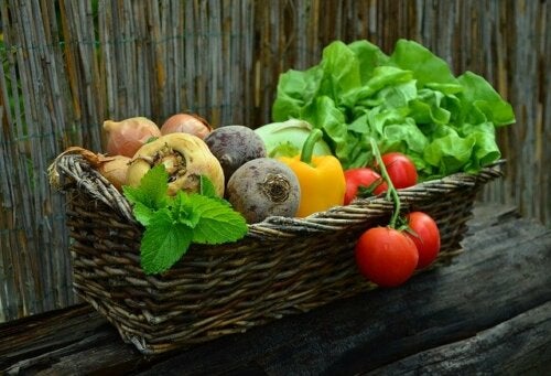 Dieta para las personas con cáncer